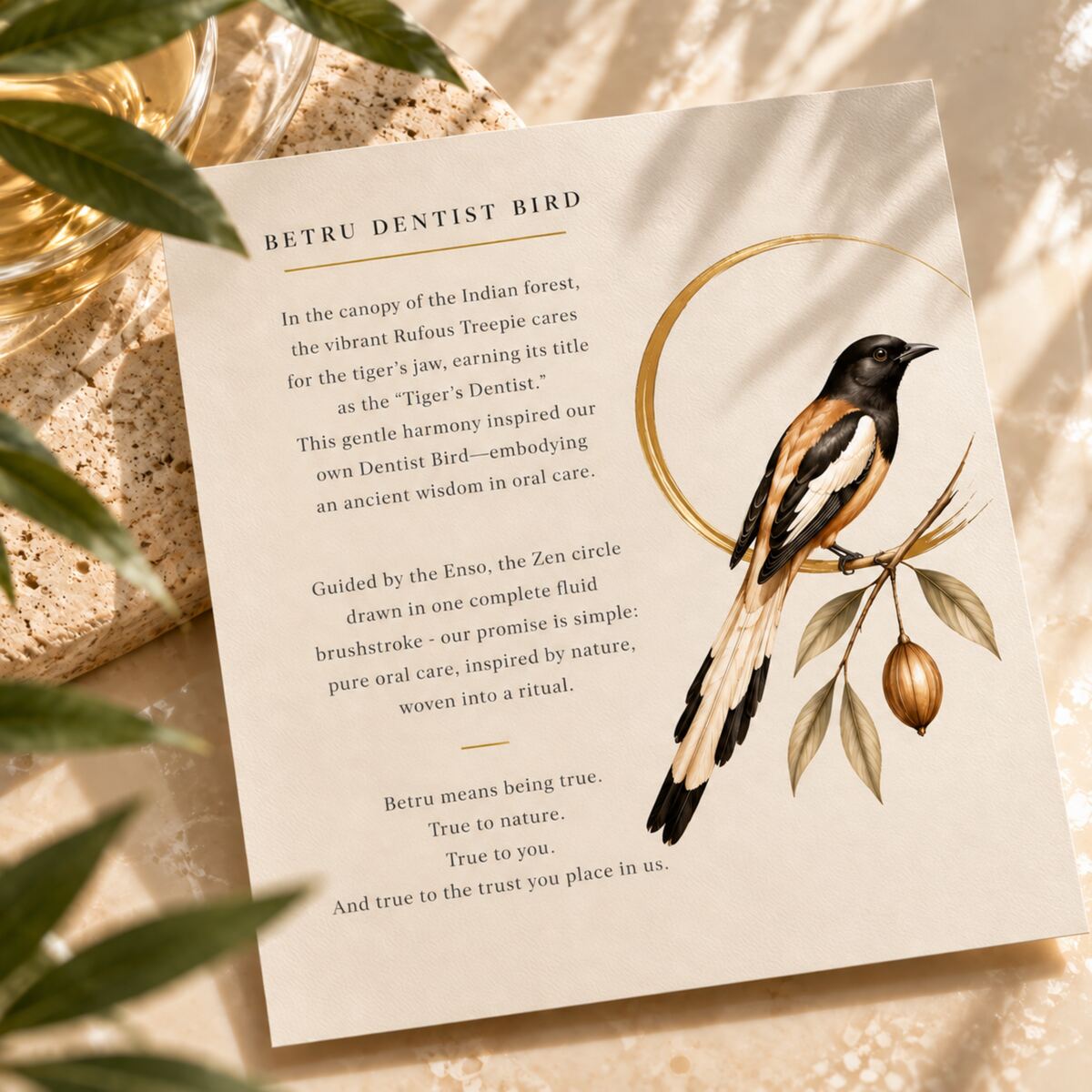An illustrated card telling the story of the Betru Dentist Bird, closing with the line, Betru means being true
