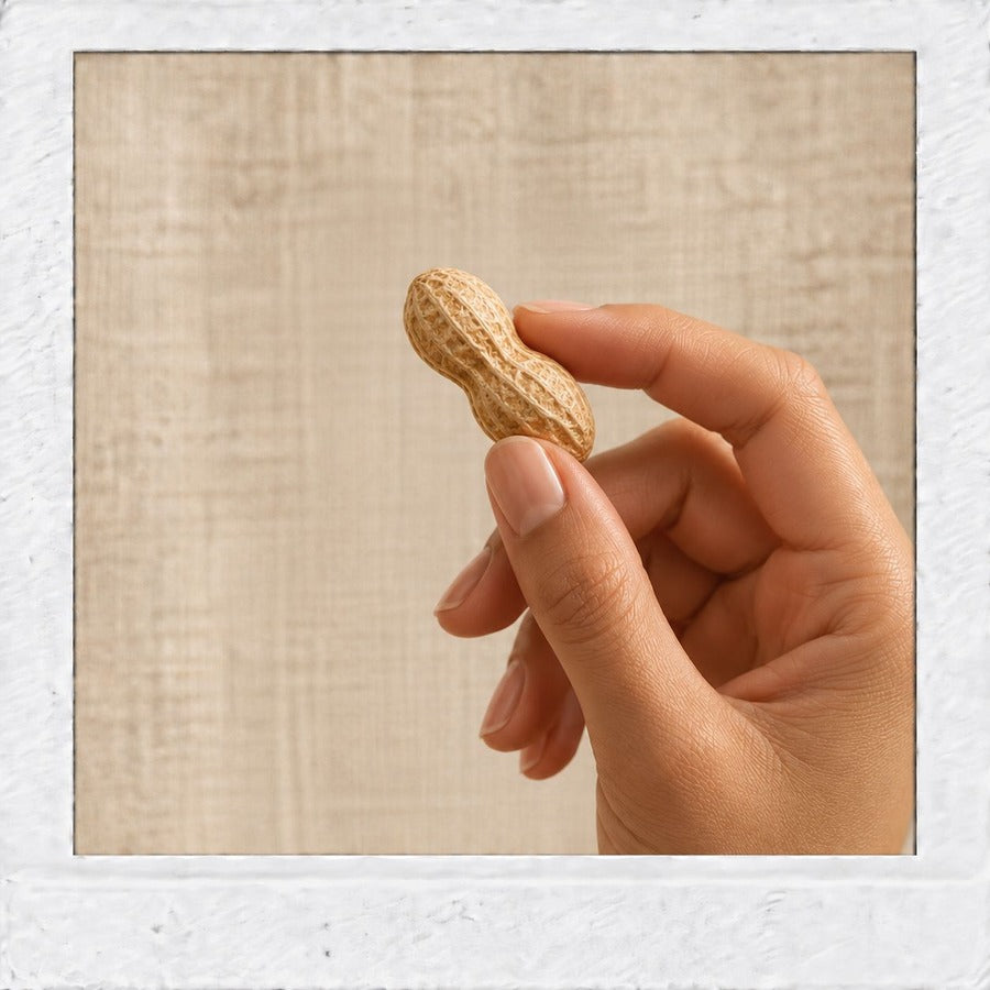 A hand holding a single unshelled peanut against a woven fabric backdrop