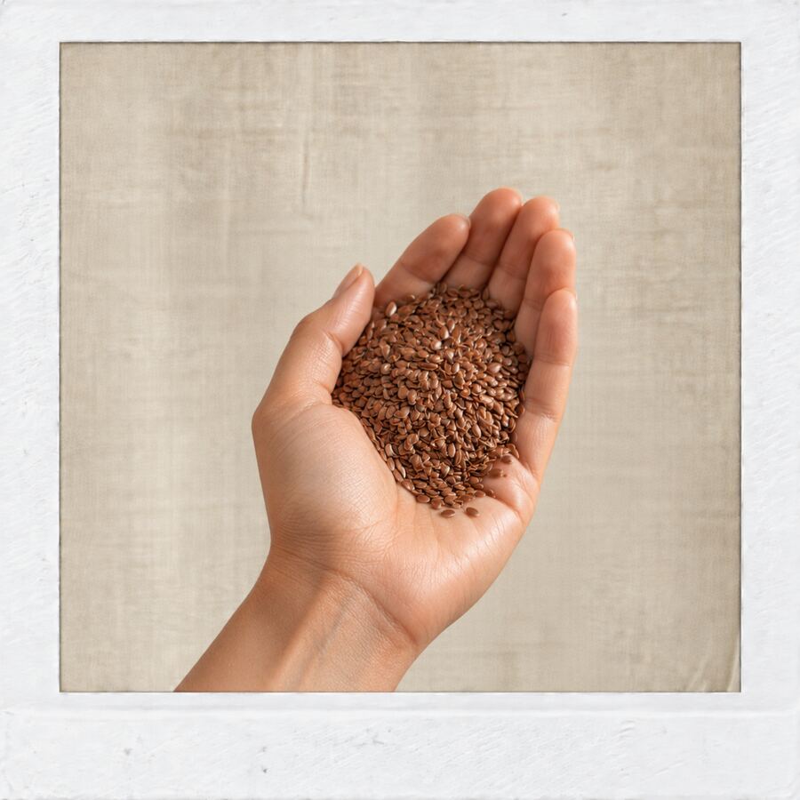 A handful of flax seeds resting in an open palm